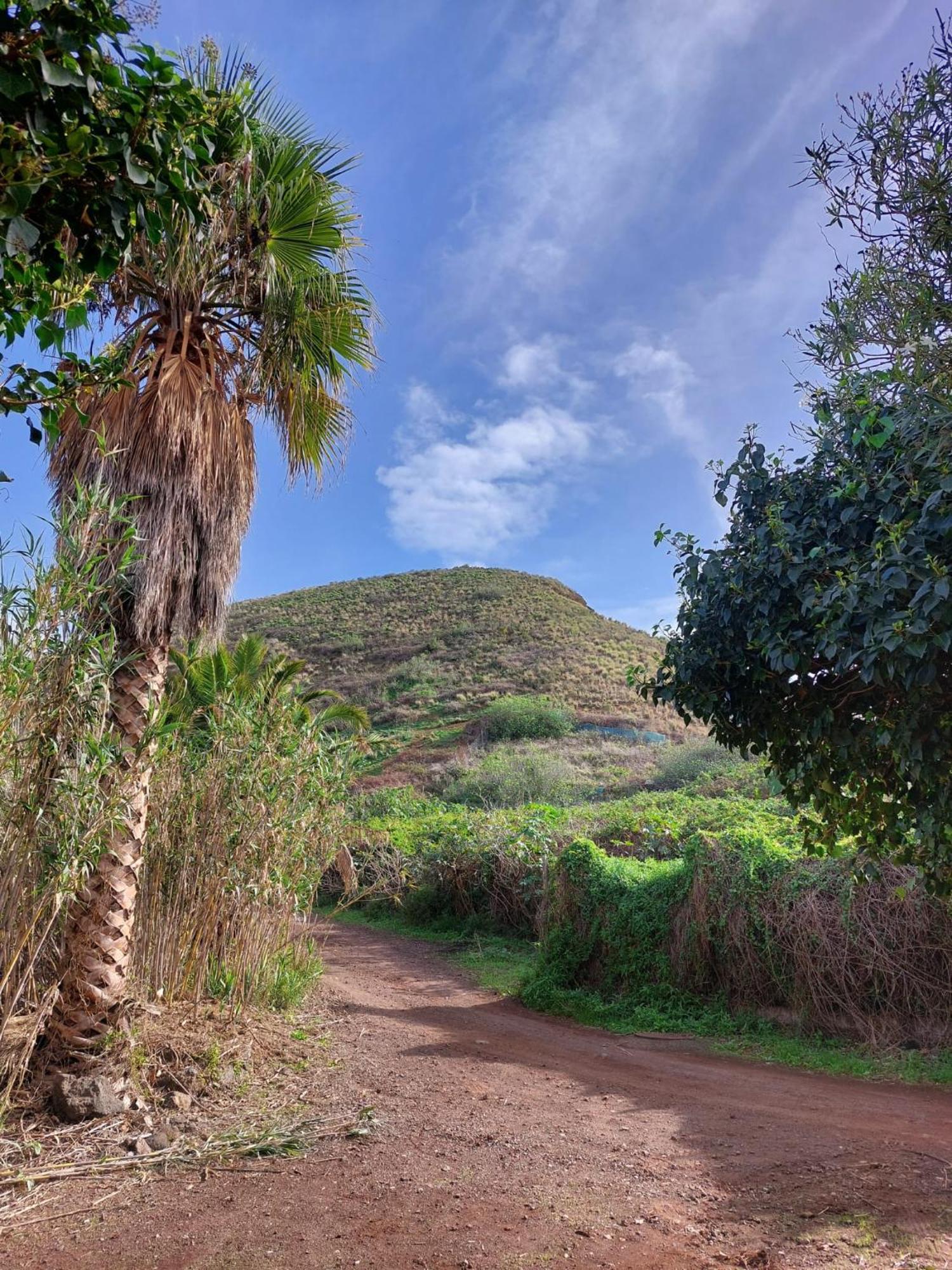 Casa Rural Dona Herminda La Matanza De Acentejo Zewnętrze zdjęcie