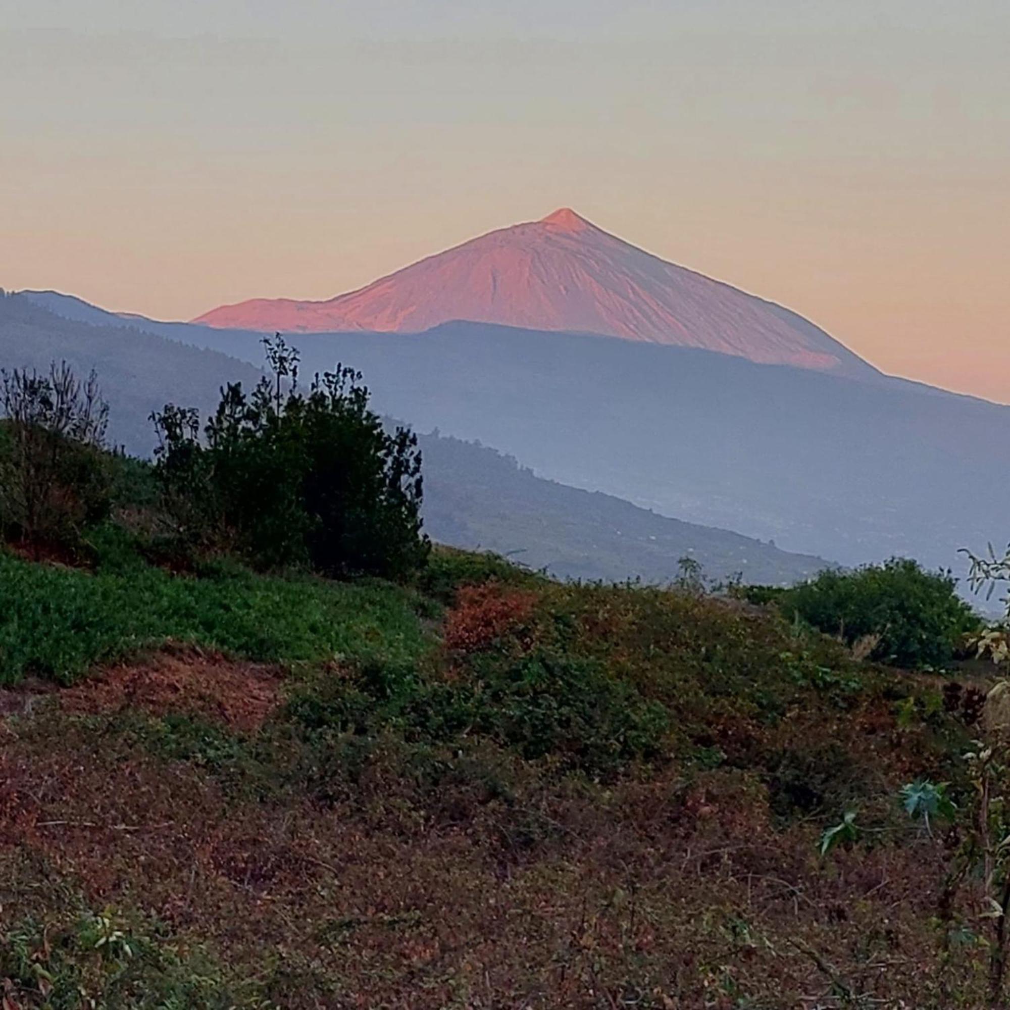 Casa Rural Dona Herminda La Matanza De Acentejo Zewnętrze zdjęcie
